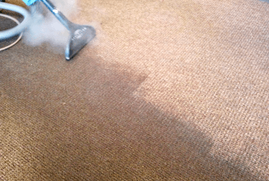 Carpet Cleaning