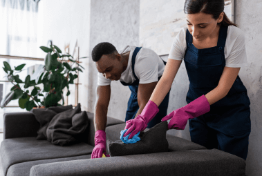 Furniture Cleaning