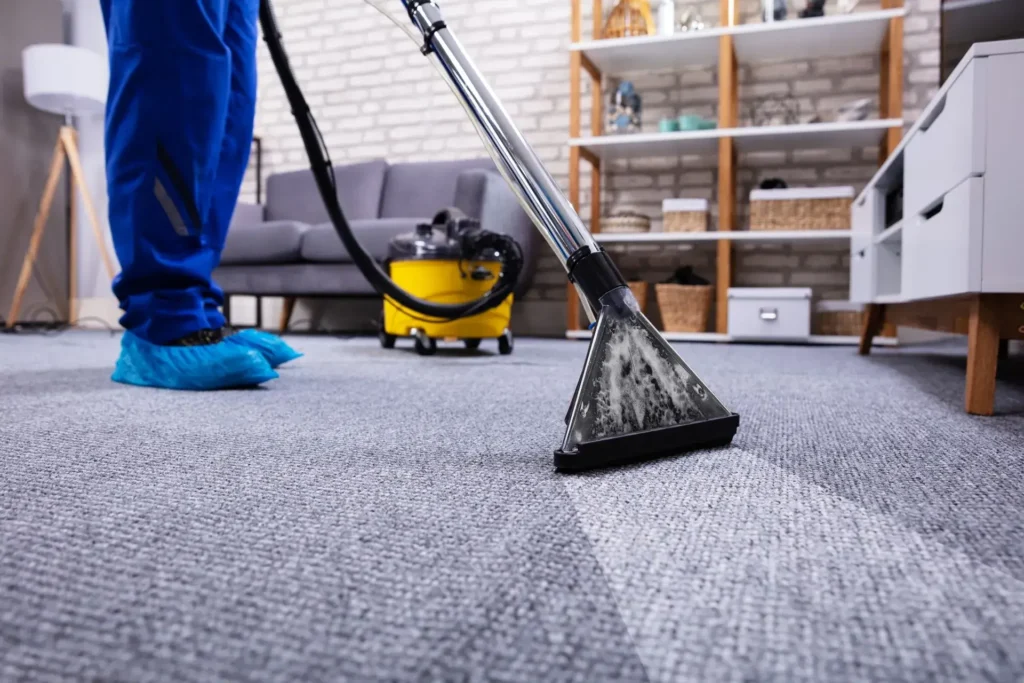 Flooring and Furniture Cleaning