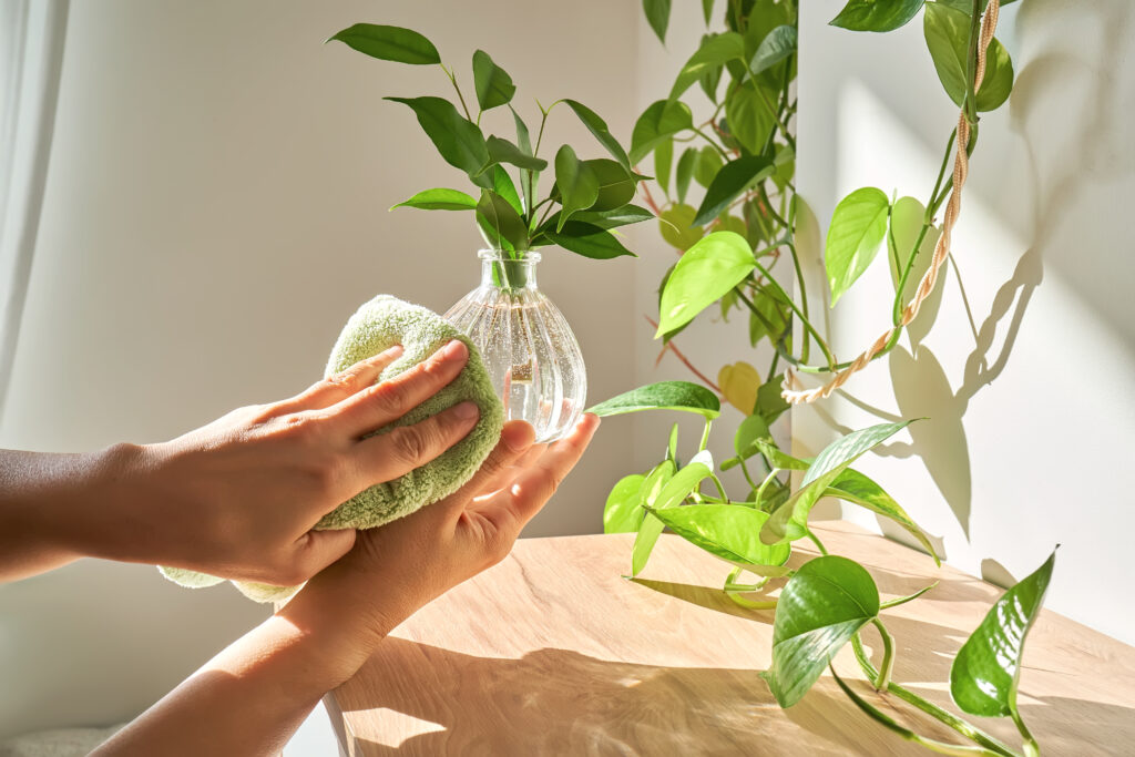 Our Environmental Commitment