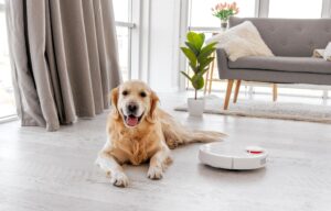Professional odor removal